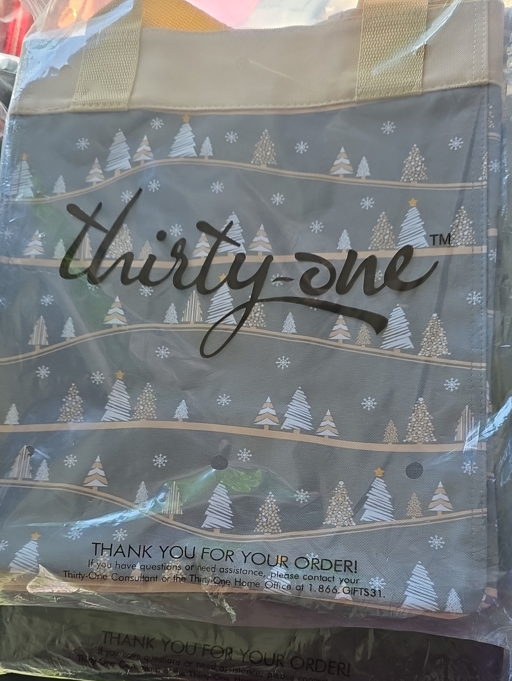 NEW Thirty-one Essential Storage Tote in snowy slopes